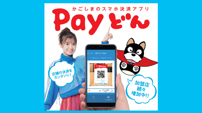 Payどん